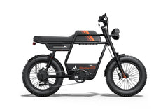 Riding Times GT33 All-Terrain Cafe Racer Cargo Electric Bike