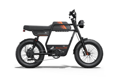 Riding Times GT33 All-Terrain Cafe Racer Cargo Electric Bike