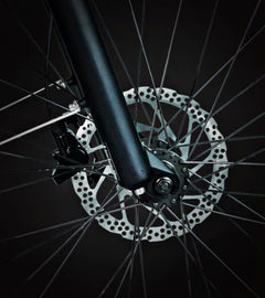 Bee Defender Step-Thru Full Suspension Step-Thru Mountain Electric Bike