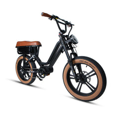 Eunorau FLASH LITE ST 1.0 Electric Bike