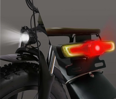 Bee Adventurer Soft Tail Long Range Electric Bike