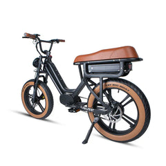 Eunorau FLASH LITE ST 1.0 Electric Bike