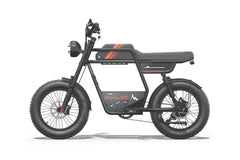 Riding Times GT33 All-Terrain Cafe Racer Cargo Electric Bike