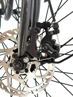 Dirwin Pacer X 350W Electric Bike