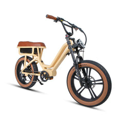 Eunorau FLASH LITE ST 1.0 Electric Bike