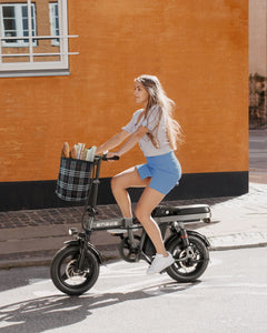 ENGWE T14 Folding Electric Bike