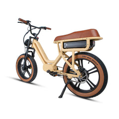Eunorau FLASH LITE ST 1.0 Electric Bike