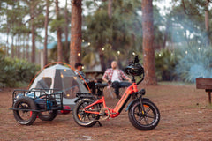 Rattan Pinus Fat Tire 750W Electric Bike