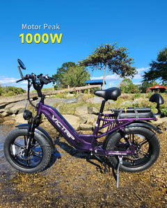 Victrip Mimas Torque Sensor Step Thru EBike with Rack and Fender