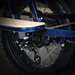 Bee Runner Long-Tail Cargo Electric Bike