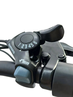 Dirwin Pacer X 350W Electric Bike