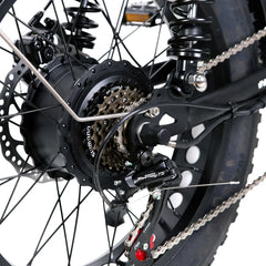Nakto F2 Electric Bike 750W Motor - Black