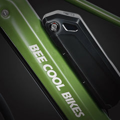 Bee Voyager Dual Batteries Soft Tail Electric Bike