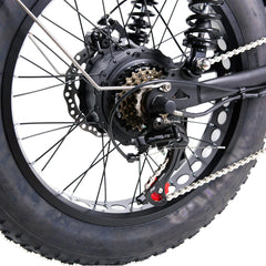 Nakto F2 Electric Bike 750W Motor - Black