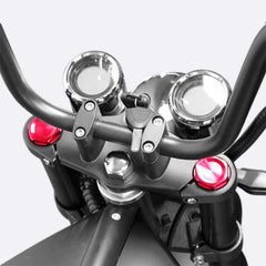 LinksEride M1P Fat Tire Electric Citycoco Scooter