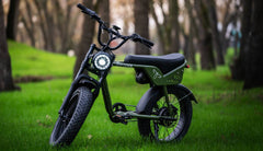Bee Tracer Racing Adventurer Electric Motorbike