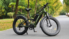 Bee Voyager Dual Batteries Soft Tail Electric Bike