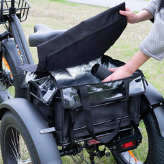 ZEUS 3 Wheel Fat Tire Electric Trike by DW Meigi