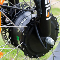 ZEUS 3 Wheel Fat Tire Electric Trike by DW Meigi