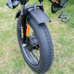 ZEUS 3 Wheel Fat Tire Electric Trike by DW Meigi