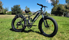 Bee Adventurer Soft Tail Long Range Electric Bike
