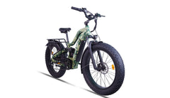 Bee Defender Super Frame Full Suspension Mountain Electric Bike
