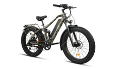 Bee Adventurer Soft Tail Long Range Electric Bike