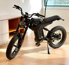 Marsant's X Ant6 Long Range 20" x 4" Fat Tire Pedal Assist Ebike