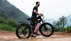 Bee Adventurer Soft Tail Long Range Electric Bike