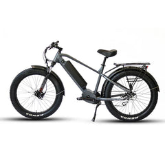 Eunorau FAT-HD 1.0 Pro / Hunter X7 Electric Bike