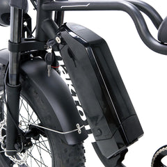 Nakto F2 Electric Bike 750W Motor - Black
