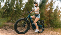 Bee Pathfinder Step-Thru Full Suspension Long Range Electric Bike