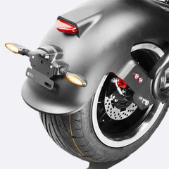 LinksEride M1P Fat Tire Electric Citycoco Scooter