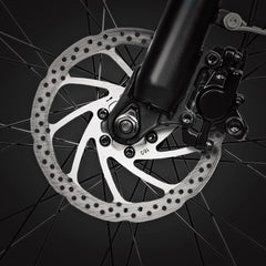 Bee Pacer Urban Commuter Electric Bike
