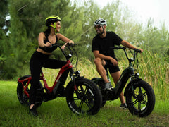 Velowave Pony Compact Step-Thru Electric Bike
