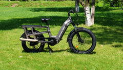 Bee Runner Long-Tail Cargo Electric Bike