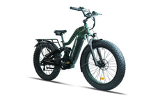 Bee Defender Super Frame Full Suspension Mountain Electric Bike
