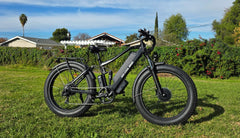 Bee Adventurer X2 Soft Tail Dual Motors Electric Bike