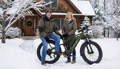 Bee Voyager Dual Batteries Soft Tail Electric Bike