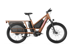 Letrigo Workhorse Electric Bike