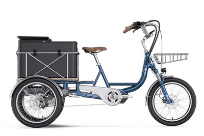 Letrigo Robin Cargo Electric Bike