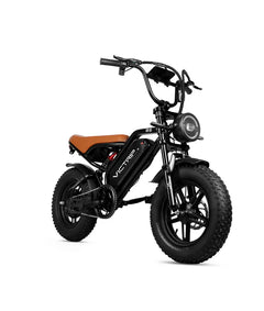 Victrip R6 Off Road E-Bike