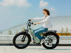 Velowave Ranger 3.0 Fat Tire All-Terrain Electric Bike