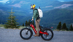 Bee Pathfinder Step-Thru Full Suspension Long Range Electric Bike