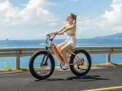Velowave Rover Step-Thru Electric Bike