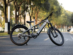 Velowave Forest SM Mountain Electric Bike