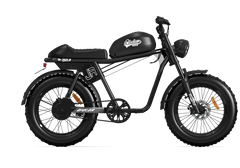 QIOLOR TIGER JR Commuter Electric Bike - 500W, 48V 15Ah