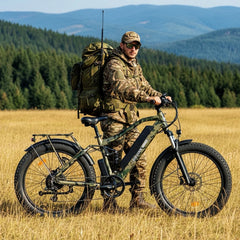 Bee Adventurer Soft Tail Long Range Electric Bike