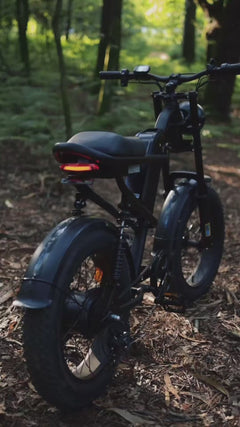 Riding Times Z8 Electric Bike - 750W Fat Tire Moped-Style E-Bike **PRE-ORDER**