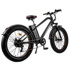Nakto Cruiser 2 Electric Bike 750W - Black